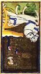 tarot