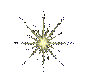 Estrellita