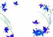 Flores Tarot Josnell