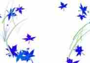 Flores Tarot Josnell