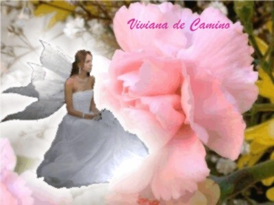 HADA Y ROSA COLOR  ROSAS