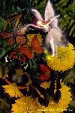 Imagenes de hadas Imagenes de angeles Josnell