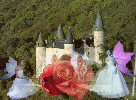 HADAS DE LAS ROSAS Y EL CASTILLO ENCANTADO 