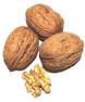 Nueces