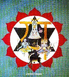 fotocha4.jpg (28624 bytes)