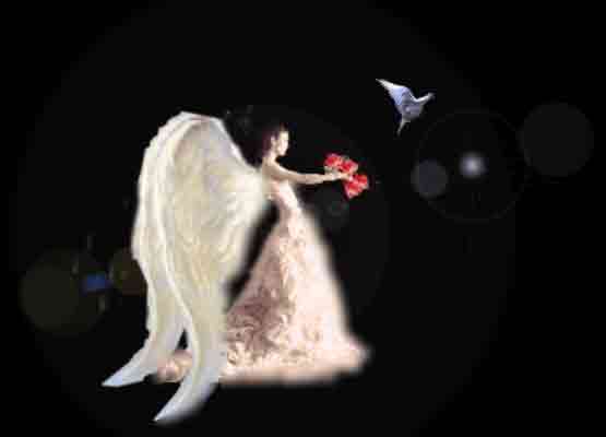 Angel de esperanza con rosas y paloma