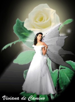 Imagenes Angel en una rosa blanca iluminada