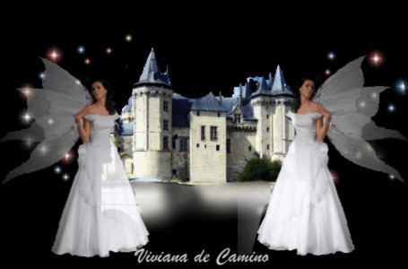 imagenes de hadas-gemelas en el castillo