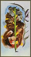 TAROT DE DALI