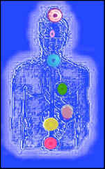 7 CHAKRAS