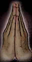 mudra01.jpg