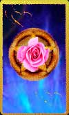 Tarot card